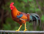 C:\Users\Админ\Desktop\istockphoto-496280178-612x612.jpg